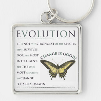 Evolution Change Key Ring