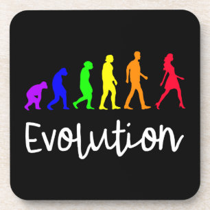 Evolution Coaster
