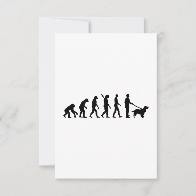 Evolution Cocker Spaniel (Front)