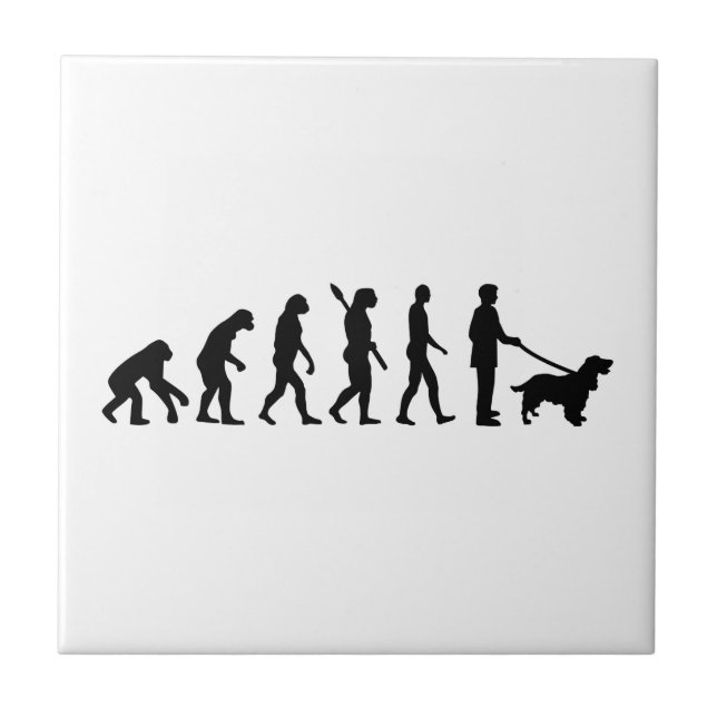 Evolution Cocker Spaniel Tile (Front)
