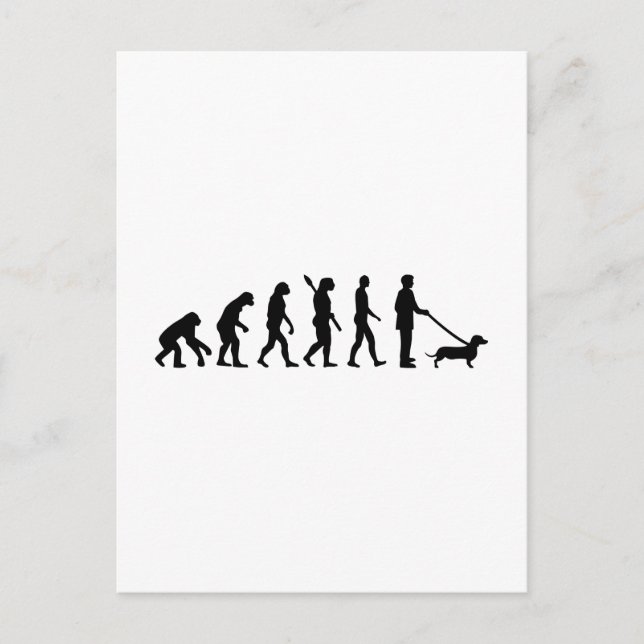 Evolution Dachshund Postcard (Front)