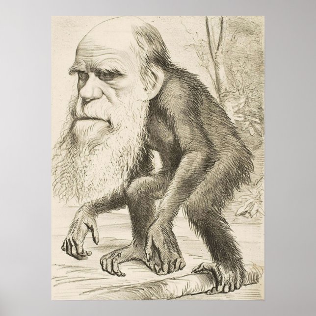 EVOLUTION DARWIN Charles Robert Darwin 1871 carica Poster (Front)