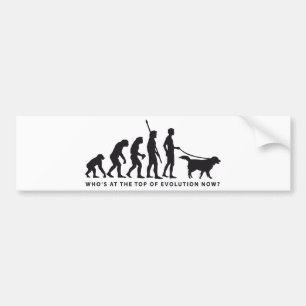 evolution dog bumper sticker