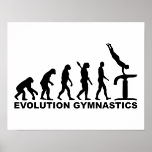 Evolution Gymnastics Poster