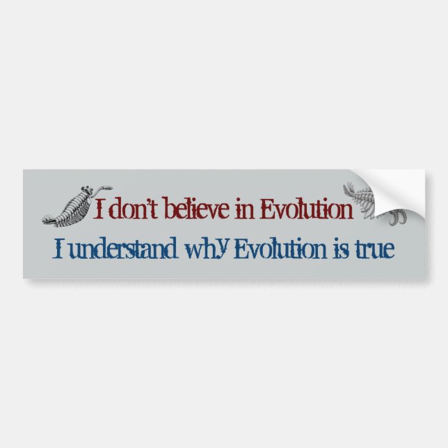 Evolution is True Bumper Sticker (Front)