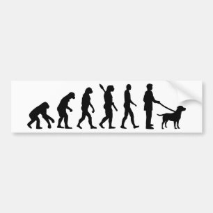 Evolution Labrador Bumper Sticker