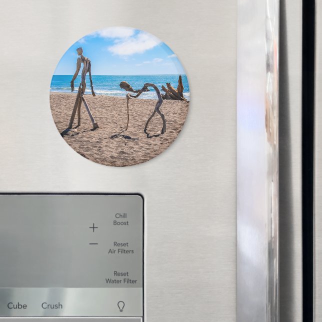 Evolution Magnet (In Situ (Fridge))