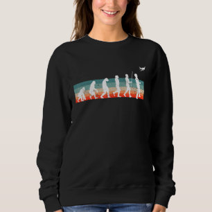 Evolution Model Flight  Rc Aeroplane Aviator Sweatshirt