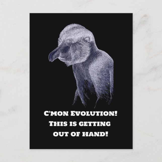 Evolution Monkey Postcard (Front)