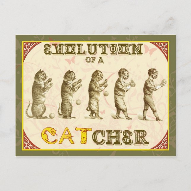 Evolution of a Catcher Postcard (Front)