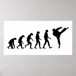 Evolution of Karate Poster