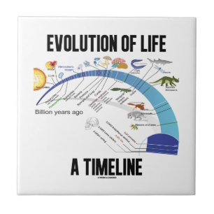 Evolution Of Life A Timeline (Biology) Ceramic Tile