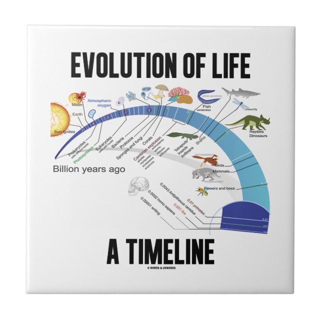 Evolution Of Life A Timeline (Biology) Ceramic Tile (Front)