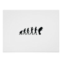 Evolution of Manatee