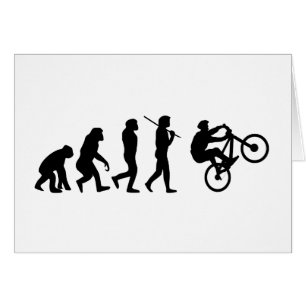 Evolution of the cyclist