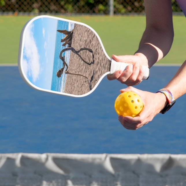 Evolution Pickleball Paddle (Insitu)