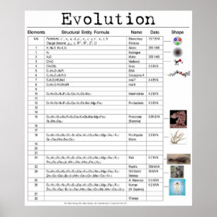 Evolution Poster
