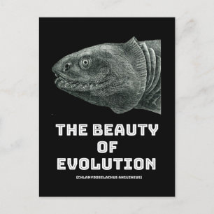 Evolution shark beauty postcard