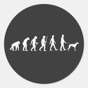 Evolution to Greyhound Owner Classic Round Sticker