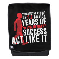 Evolutionary Success
