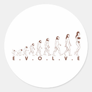 evolve classic round sticker