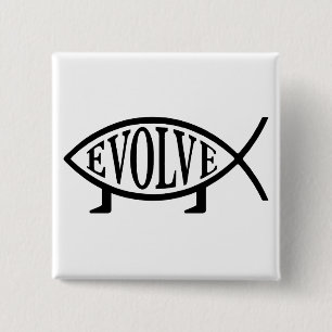 Evolve Fish 15 Cm Square Badge