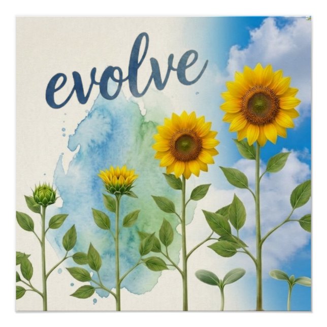 Evolve Sunflower  Poster (Front)