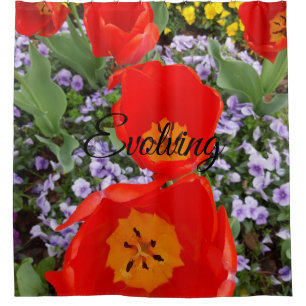 Evolving Red Tulips Shower Curtain