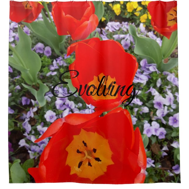 Evolving Red Tulips Shower Curtain (Front)