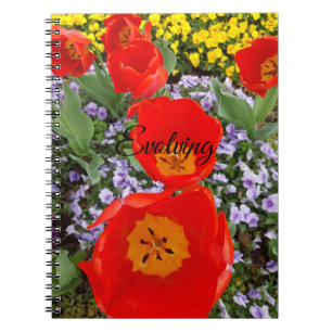 Evolving Red Tulips Spiral Notebook