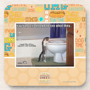 ew coaster