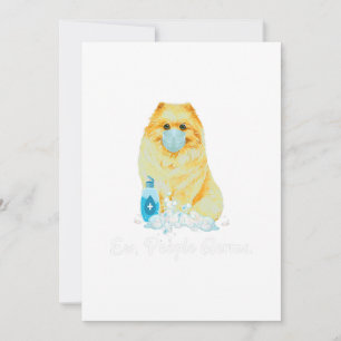 Ew People Germs Pomeranian Dog Wearing A Face Mask Holiday Card