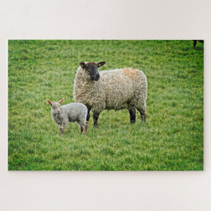 Ewe and Lamb Jigsaw Puzzle