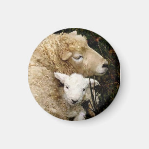 Ewe and Lamb Magnet