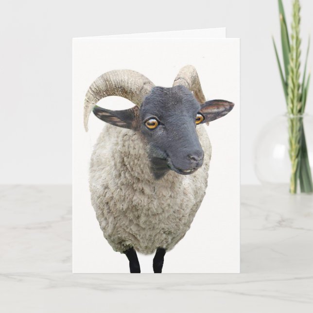 Ewe are the One Holiday Card (Front)