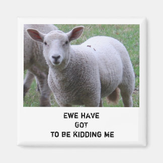 Ewe have got to be kidding me magnet