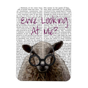Ewe Looking at Me DeNiro Sheep 2 Magnet