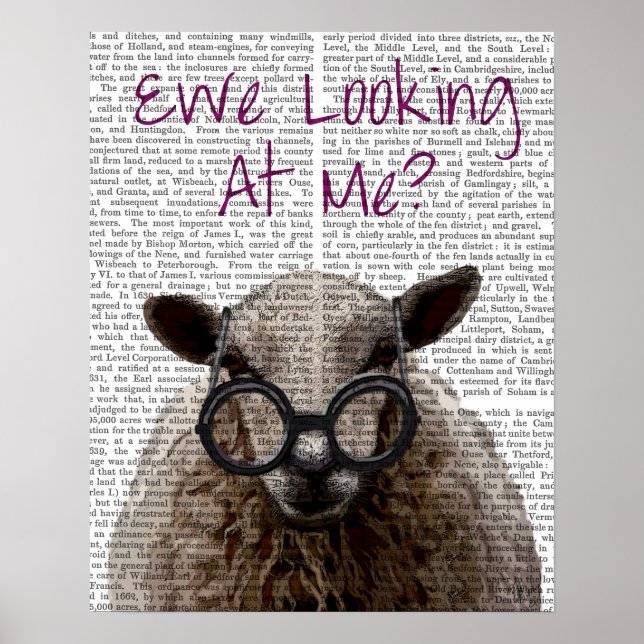Ewe Looking at Me DeNiro Sheep Poster (Front)