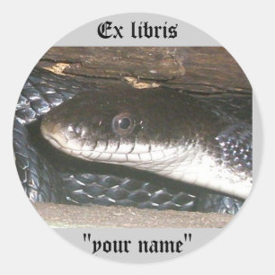 Ex Libris Black Snake Stickers to Customise