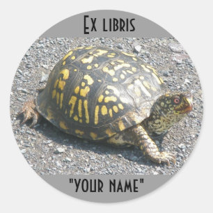 Ex Libris Box Turtle Stickers to Customise