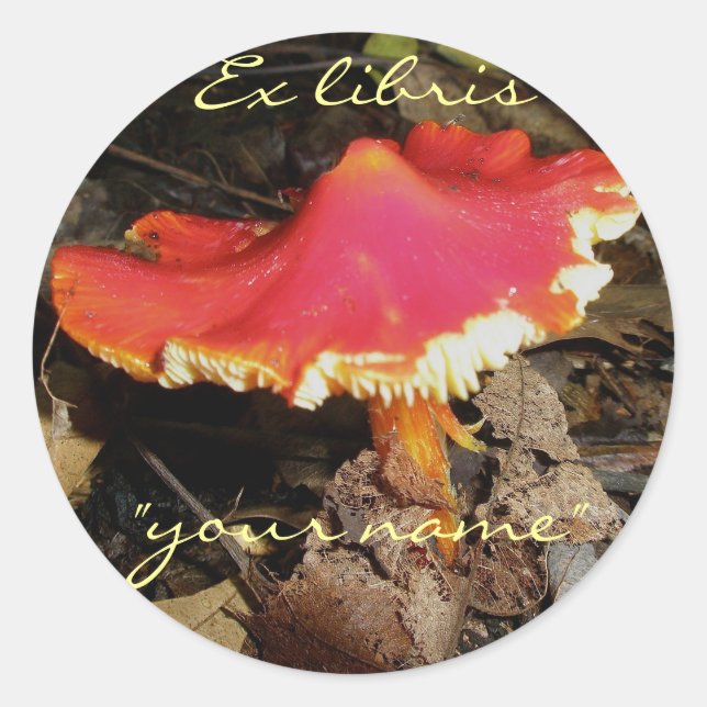 Ex Libris Red Mushroom Stickers to Customise (Front)