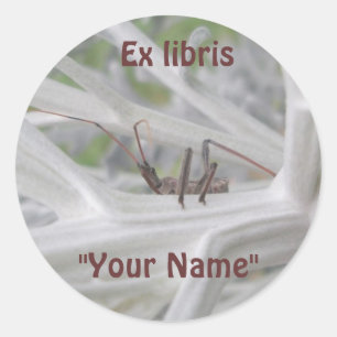 Ex librisReduviid Peeking Stickers