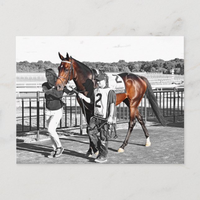 Exaggerator Postcard (Front)