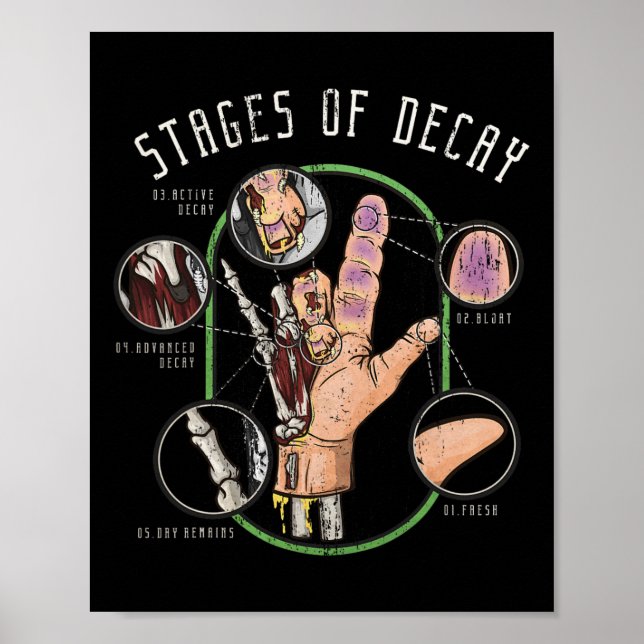 Examiner Halloween Forensics Coroner Gift Medical  Poster (Front)