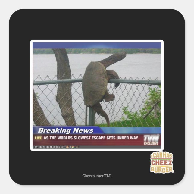 Excaping Turtle Square Sticker (Front)