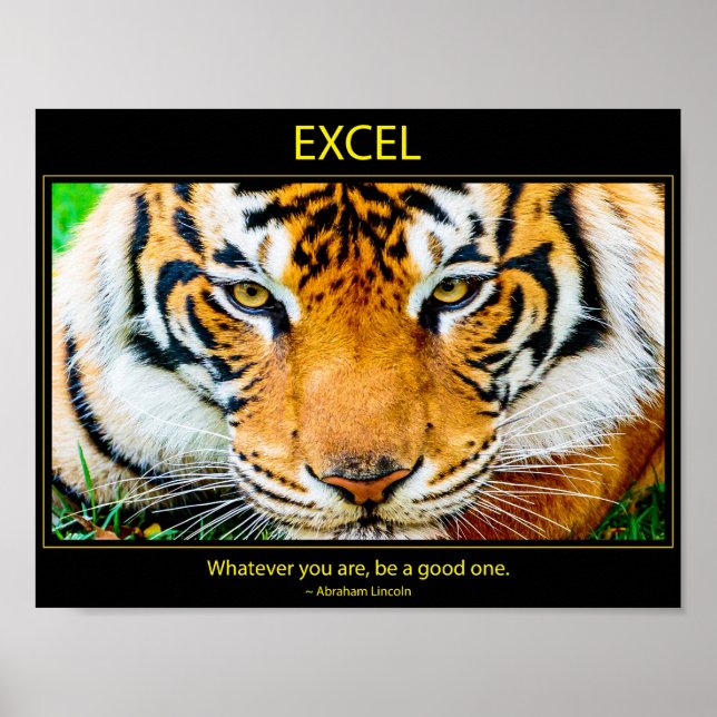Excel Poster (Front)