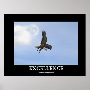 Excellence Bald Eagle Motivational Poster