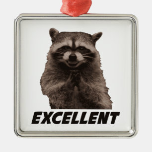 Excellent Evil Plotting Racoon Metal Ornament