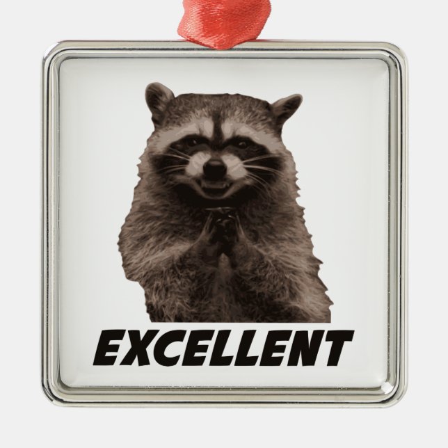 Excellent Evil Plotting Racoon Metal Ornament (Front)