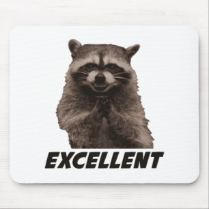 Excellent Evil Plotting Racoon Mouse Pad